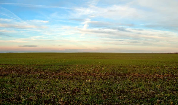 Våren landskap — Stockfoto