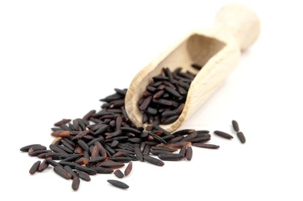 Black rice isolated — Stock Photo, Image