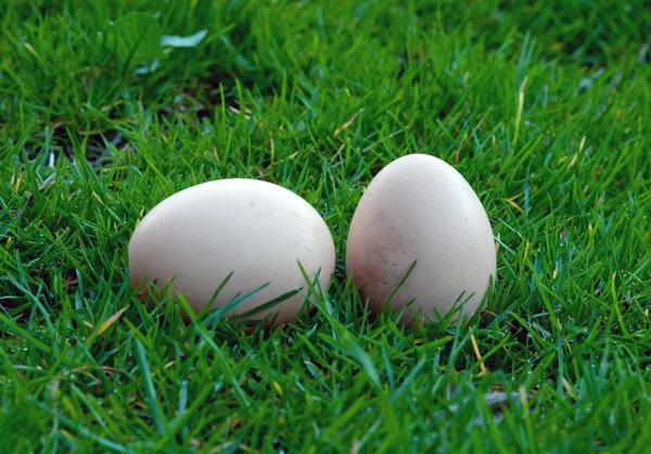 两个复活节彩蛋 — 图库照片