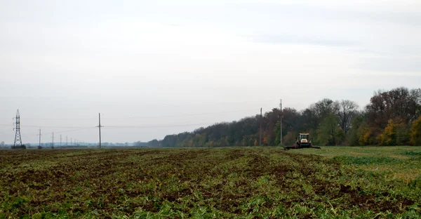 Tractor cultivating — Stock Photo, Image