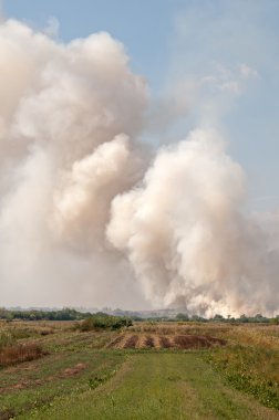 ateş