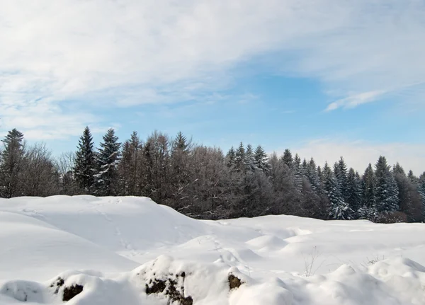 Winter landscape — Stock Photo, Image