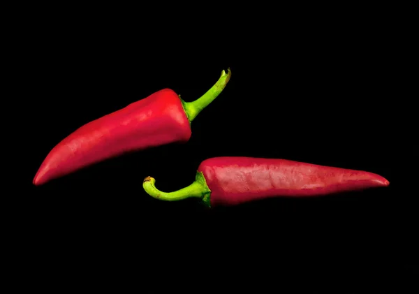 Red hot chili — Stock fotografie