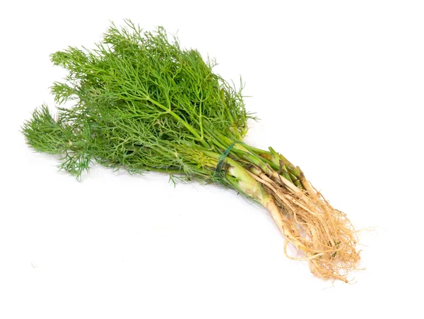 Leaf of green dill — Stock Photo, Image