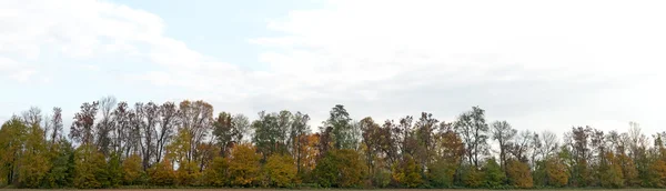 Uma paisagem de outono — Fotografia de Stock