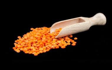 Mercimek yakın çekim