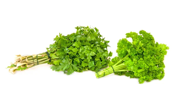 A parsley isolated — Stock Photo, Image