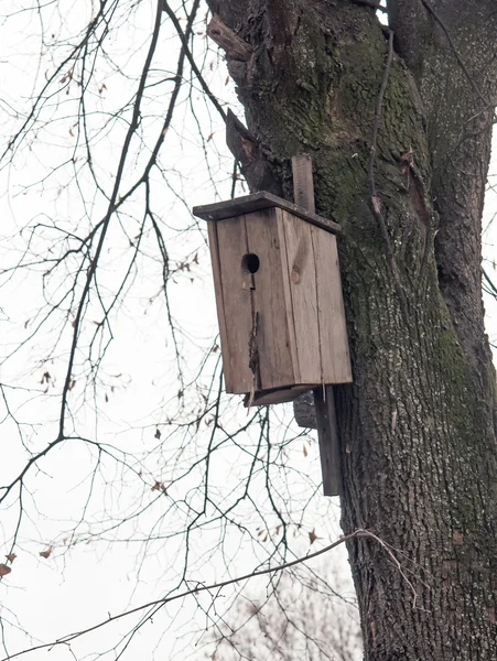 Uma casa de pássaros de madeira — Fotografia de Stock