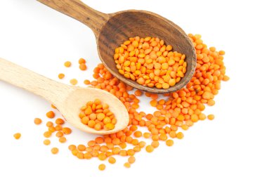 Mercimek yakın çekim