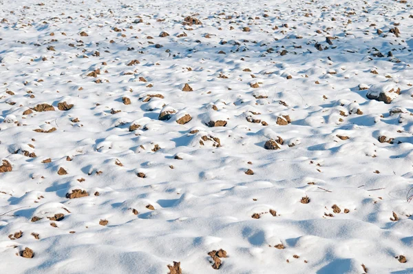 Campo de neve — Fotografia de Stock