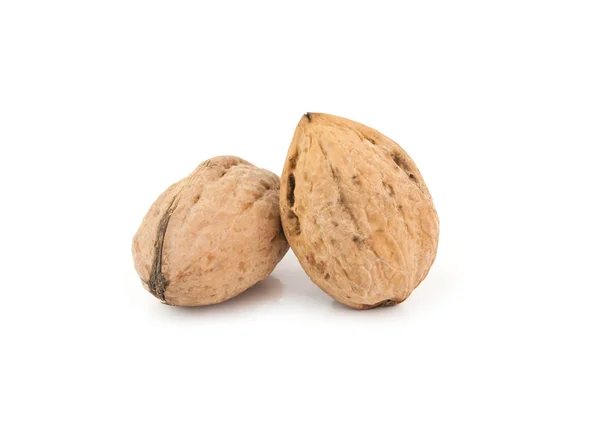 A two walnuts — Stock Photo, Image