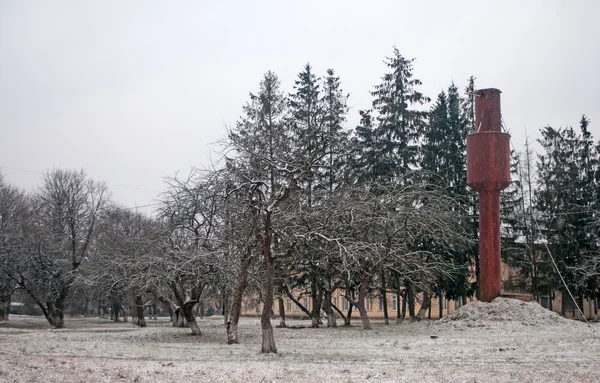 Um jardim de inverno — Fotografia de Stock