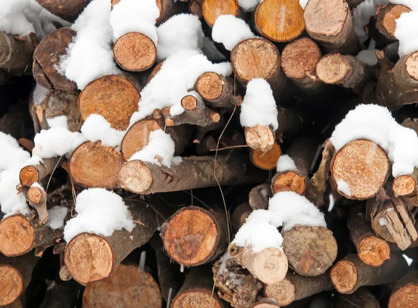 Kaplı bir odun — Stok fotoğraf