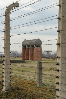 Auschwitz Ölüm kampı renkli tarihsel bakış