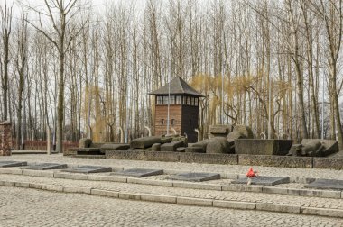 Auschwitz Ölüm kampı renkli tarihsel bakış