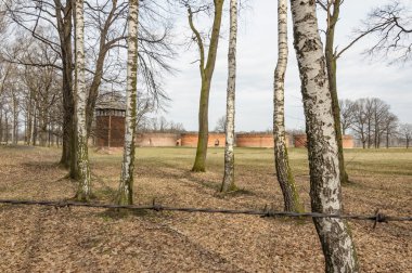 Auschwitz Ölüm kampı renkli tarihsel bakış