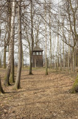 Auschwitz Ölüm kampı renkli tarihsel bakış