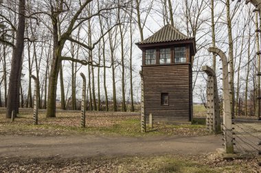 Auschwitz Ölüm kampı renkli tarihsel bakış