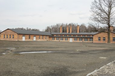 Auschwitz Ölüm kampı renkli tarihsel bakış