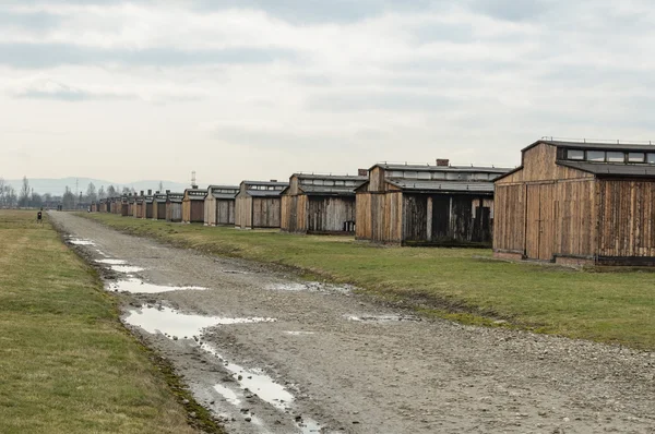 Vista storica del campo di sterminio di Auschwitz a colori — Foto Stock