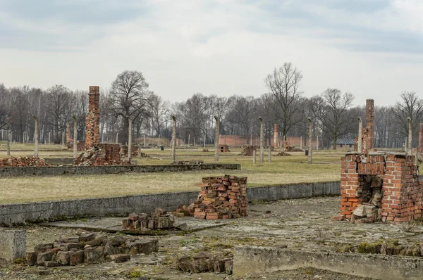 Vista storica del campo di sterminio di Auschwitz a colori — Foto Stock