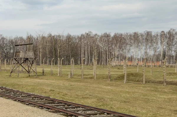 Historical view of Auschwitz death camp in color — Stock Photo, Image