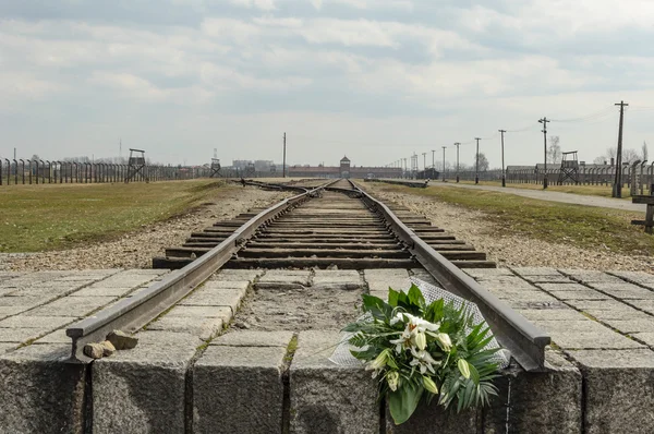 Історичний погляд табору смерті Освенцим в кольорі — стокове фото