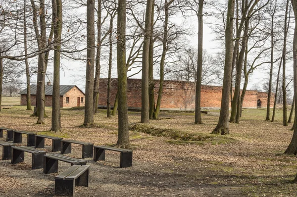 Vista storica del campo di sterminio di Auschwitz a colori — Foto Stock