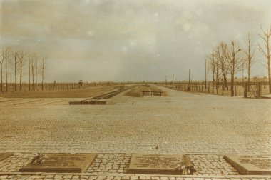 Etkisi auschwitz concentrat yaşında sepya dijital grunge sıkıntılı