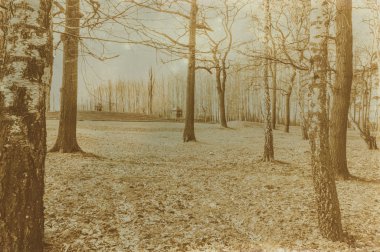 Etkisi auschwitz concentrat yaşında sepya dijital grunge sıkıntılı