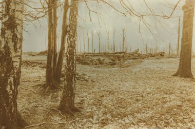 Etkisi auschwitz concentrat yaşında sepya dijital grunge sıkıntılı