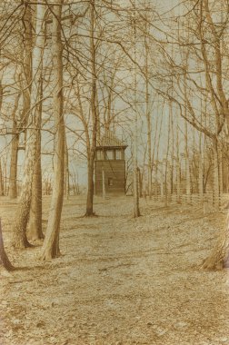 Etkisi auschwitz concentrat yaşında sepya dijital grunge sıkıntılı