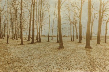 Etkisi auschwitz concentrat yaşında sepya dijital grunge sıkıntılı