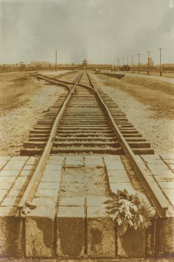 Etkisi auschwitz concentrat yaşında sepya dijital grunge sıkıntılı