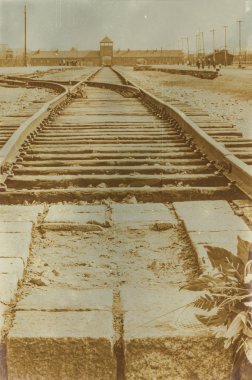 Etkisi auschwitz concentrat yaşında sepya dijital grunge sıkıntılı