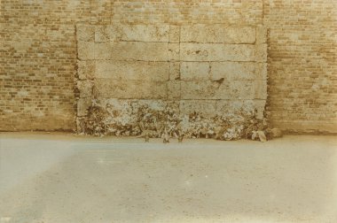 Etkisi auschwitz concentrat yaşında sepya dijital grunge sıkıntılı