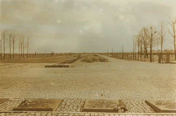 Etkisi auschwitz concentrat yaşında sepya dijital grunge sıkıntılı