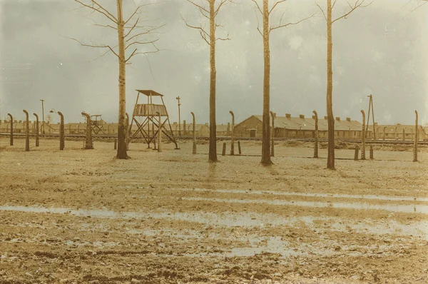 Etkisi auschwitz concentrat yaşında sepya dijital grunge sıkıntılı