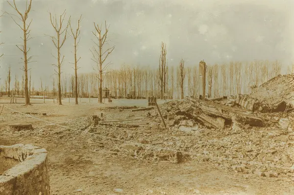 Etkisi auschwitz concentrat yaşında sepya dijital grunge sıkıntılı