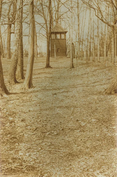 Etkisi auschwitz concentrat yaşında sepya dijital grunge sıkıntılı