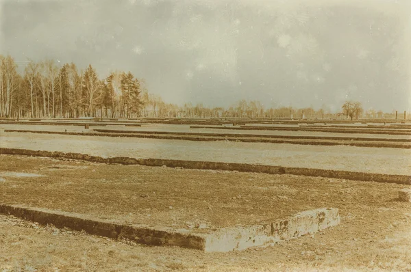 Etkisi auschwitz concentrat yaşında sepya dijital grunge sıkıntılı