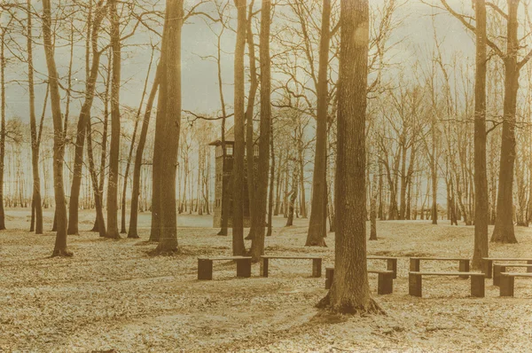 Etkisi auschwitz concentrat yaşında sepya dijital grunge sıkıntılı