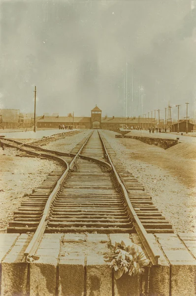 Etkisi auschwitz concentrat yaşında sepya dijital grunge sıkıntılı