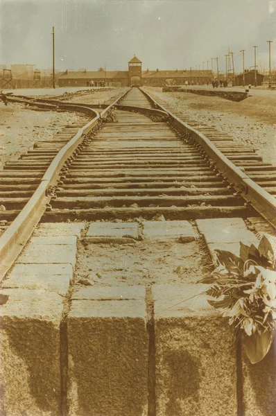 Etkisi auschwitz concentrat yaşında sepya dijital grunge sıkıntılı