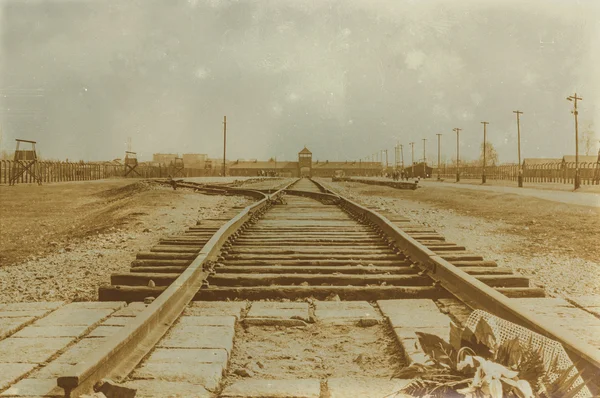 Etkisi auschwitz concentrat yaşında sepya dijital grunge sıkıntılı