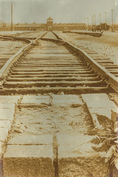 Etkisi auschwitz concentrat yaşında sepya dijital grunge sıkıntılı