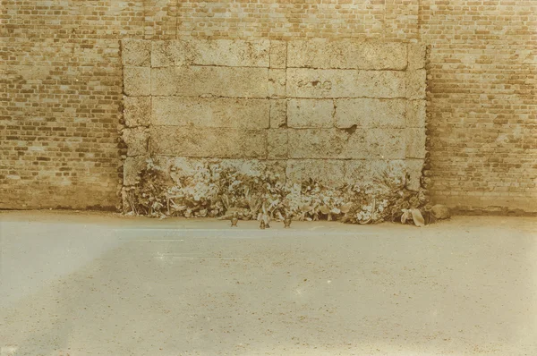 Etkisi auschwitz concentrat yaşında sepya dijital grunge sıkıntılı