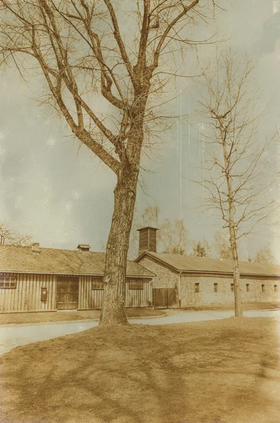 Etkisi auschwitz concentrat yaşında sepya dijital grunge sıkıntılı