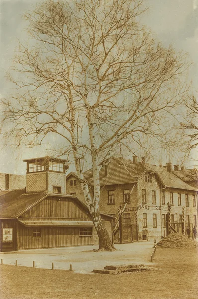 Etkisi auschwitz concentrat yaşında sepya dijital grunge sıkıntılı