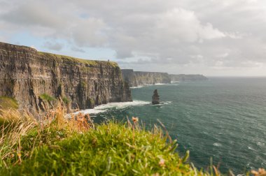 Moher, Wildatlanticway, County Clare, IR ünlü doğal kayalıklarla